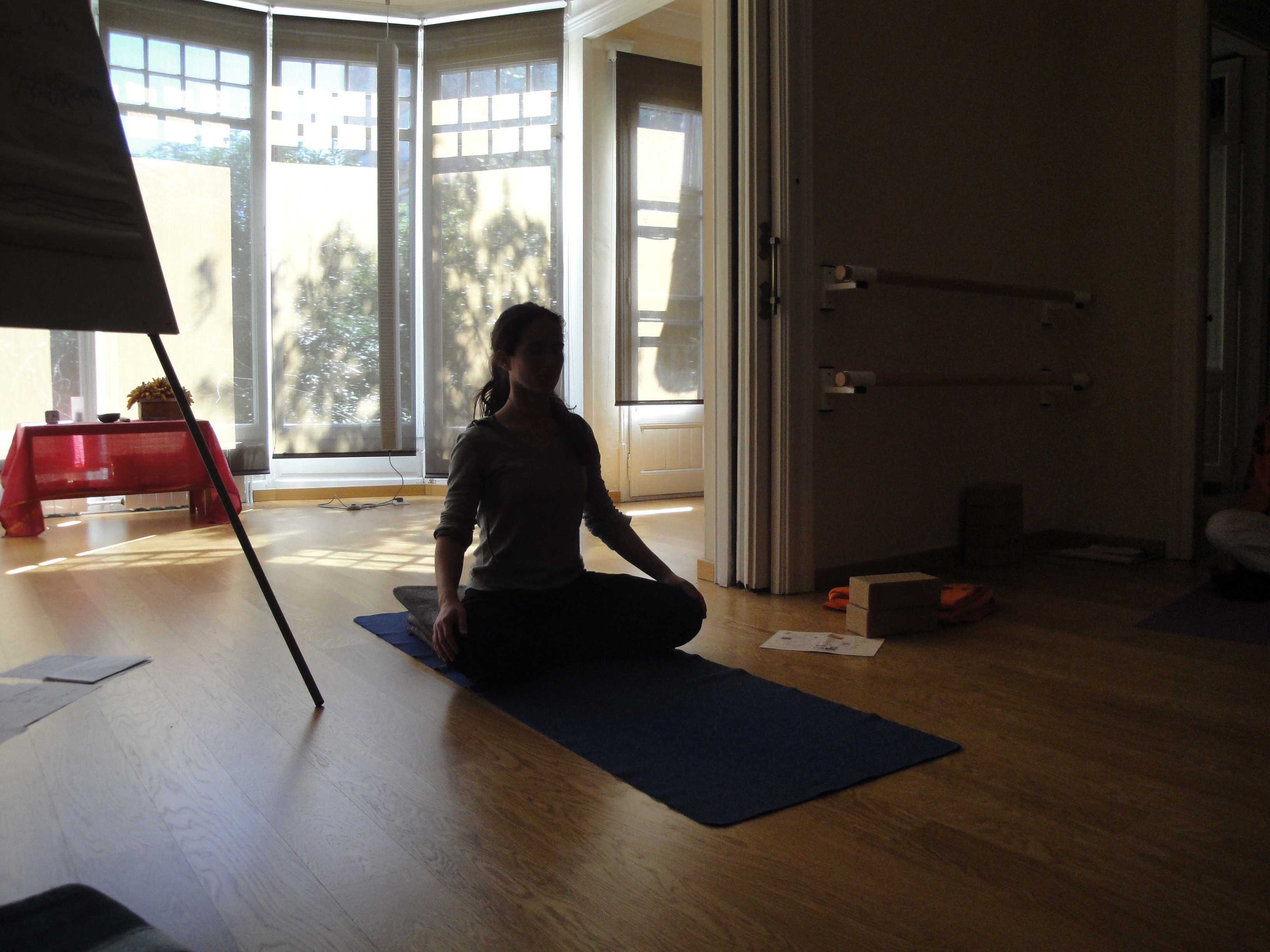 Meditació, Mindfulness i Yoga Nidra als Centres Darshan, Barcelona