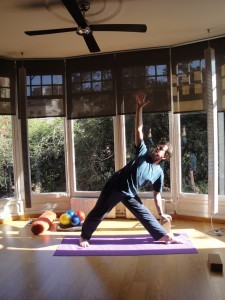 ypp ignasi jyotirananda escritor libro yoga nidra mindfulness cursos formacion