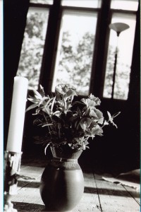 Còpia de floriespelmafinlandia