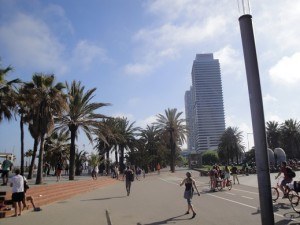 pCursos Formacion Yoga Nidra Mindfulness Barcelona Instructoras Darshan