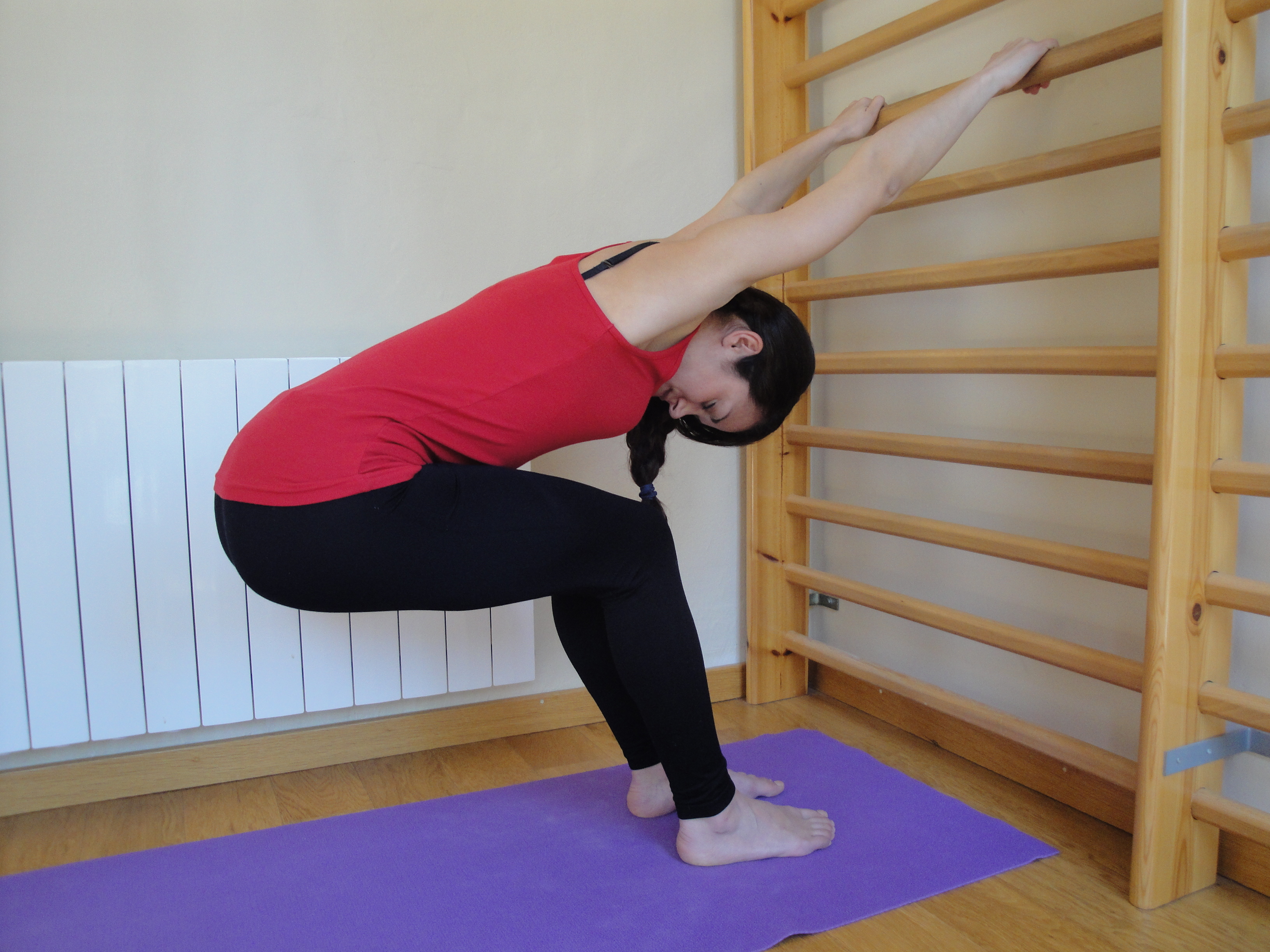 SEPTIMO Curso Formacion Especializacion Yoga Pilates Barra – Sistema DARSHAN